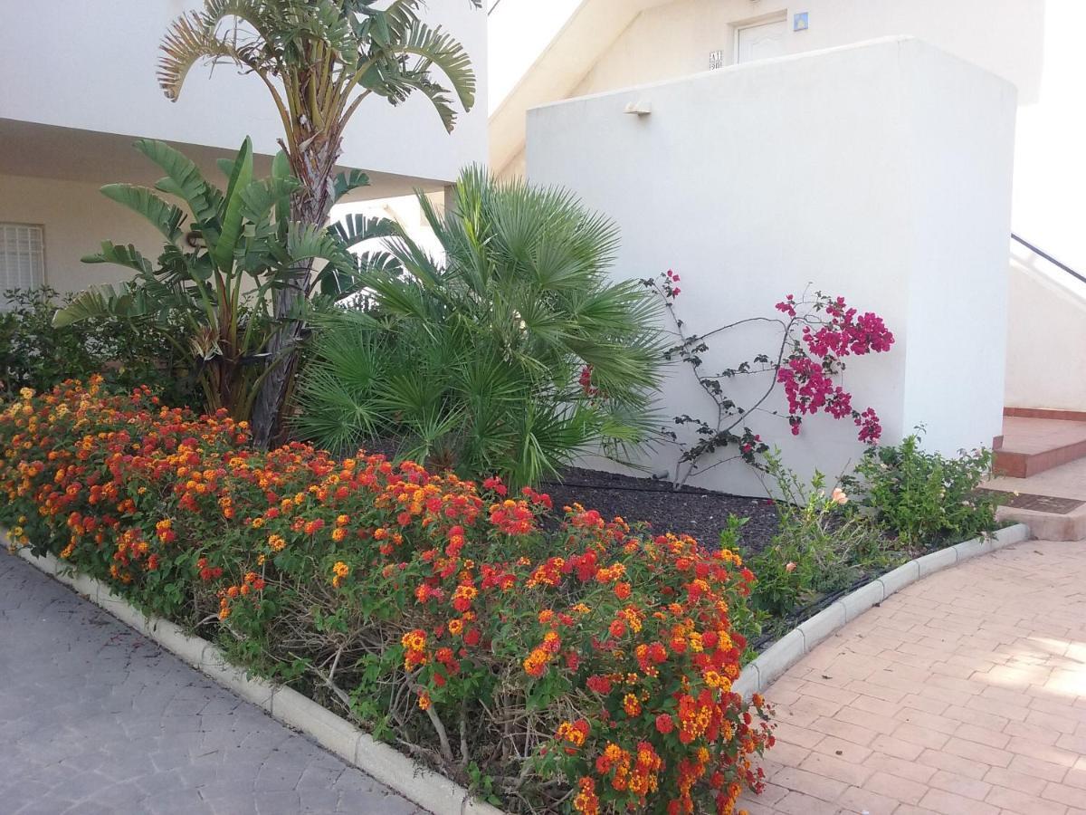 Apartamento Junto Al Mar En La Costa De Almeria El Pozo del Esparto Buitenkant foto